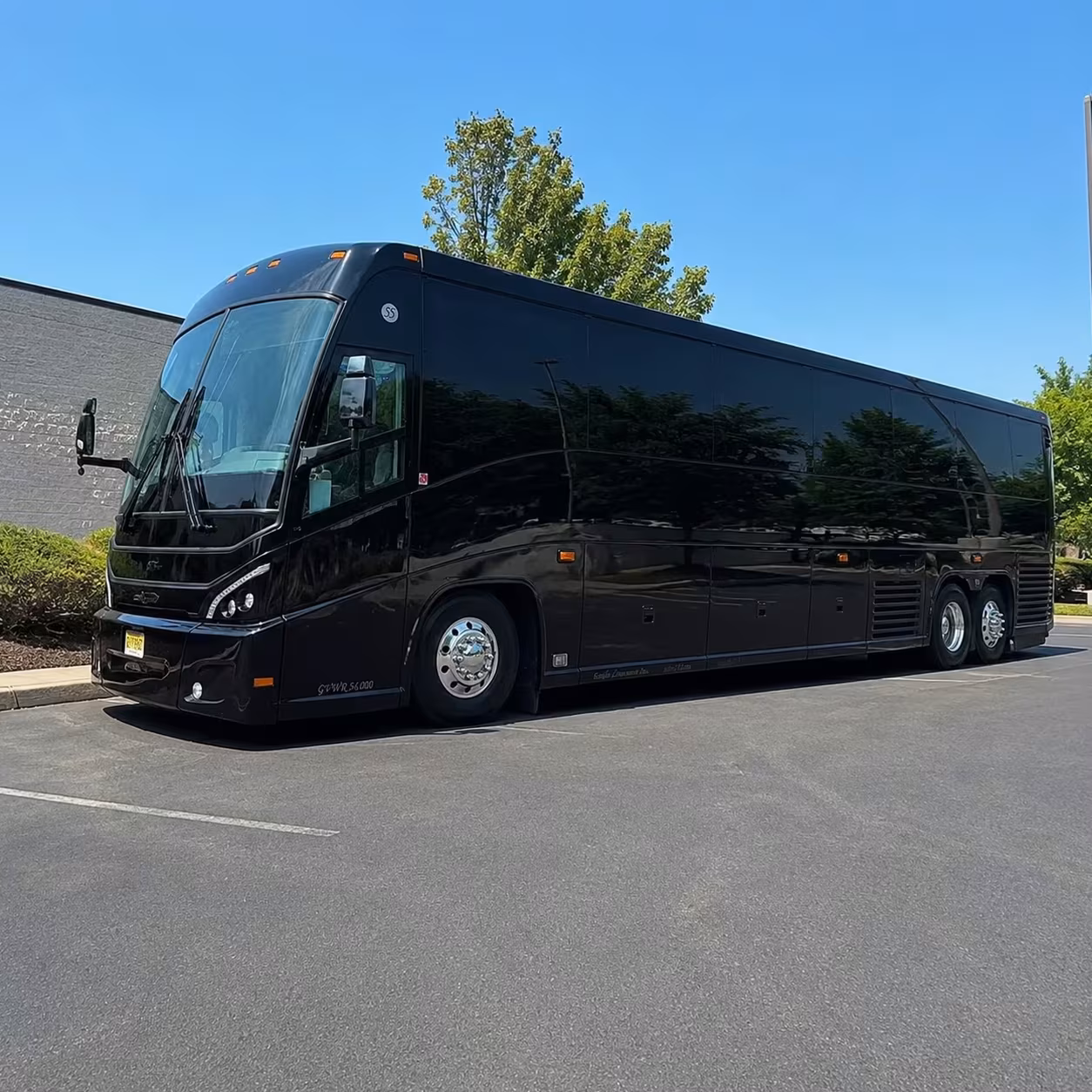 compare long distance transportation options in round rock and beyond